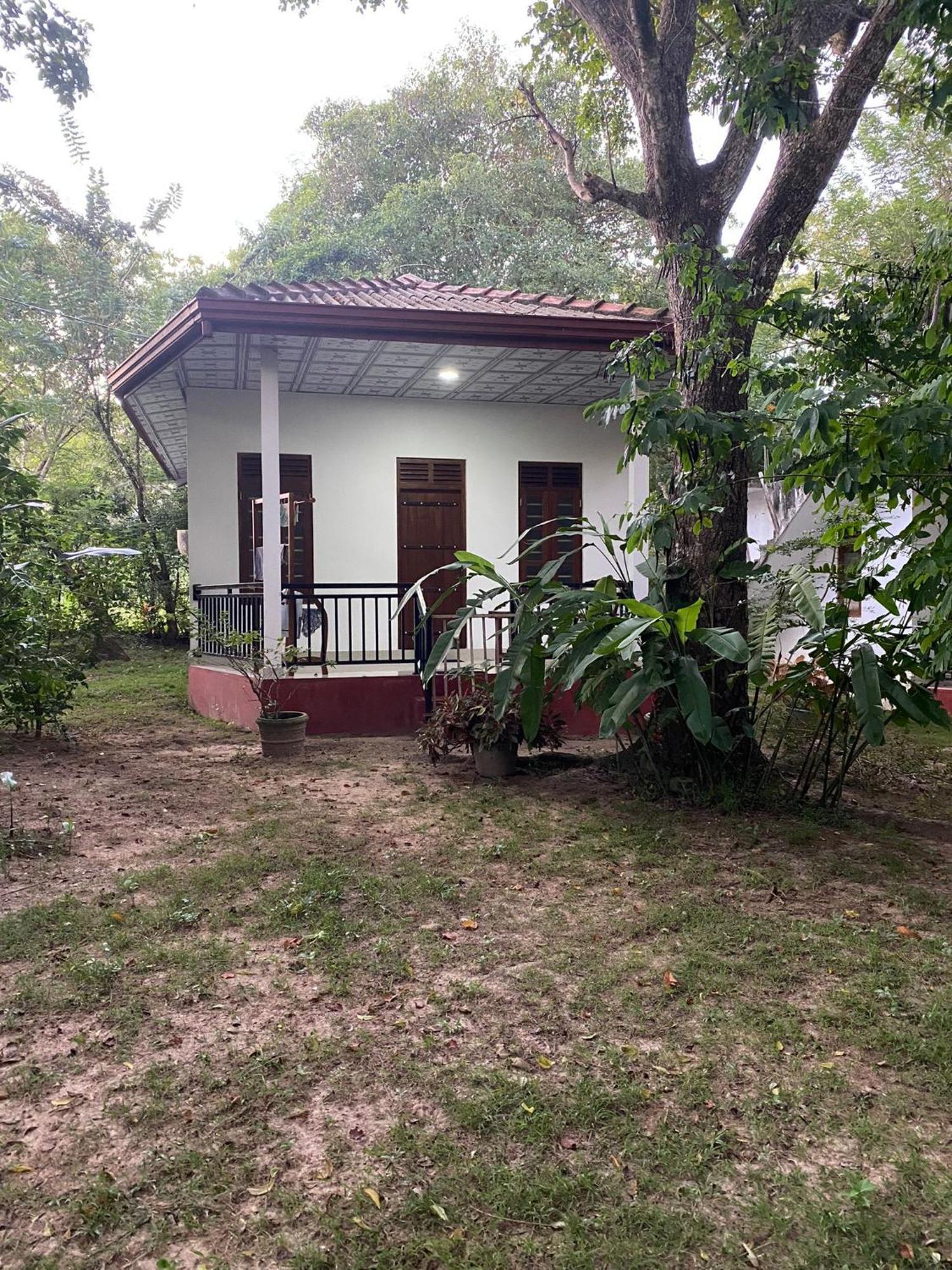 Calm Garden Cabanas Tangalle Buitenkant foto