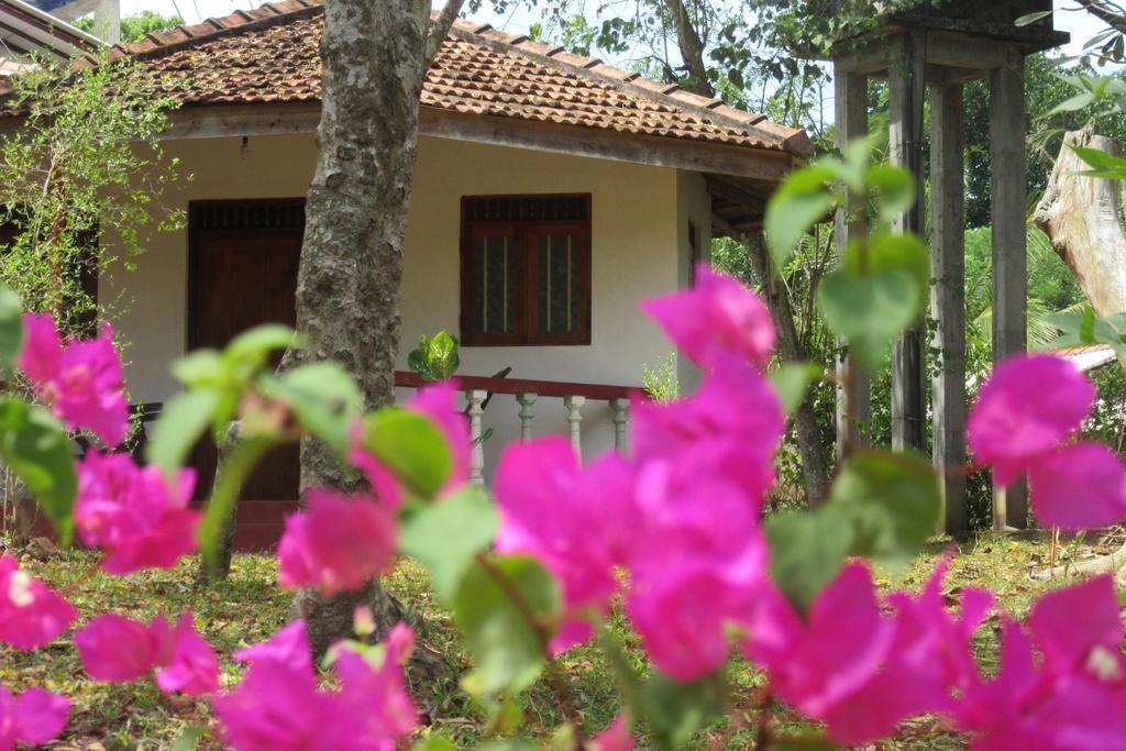 Calm Garden Cabanas Tangalle Buitenkant foto