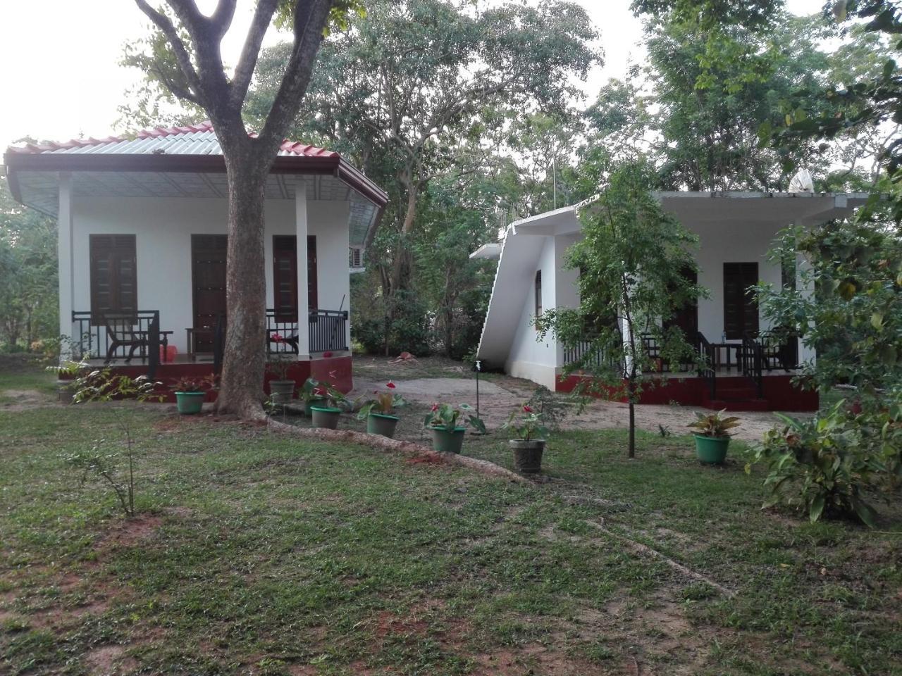 Calm Garden Cabanas Tangalle Buitenkant foto
