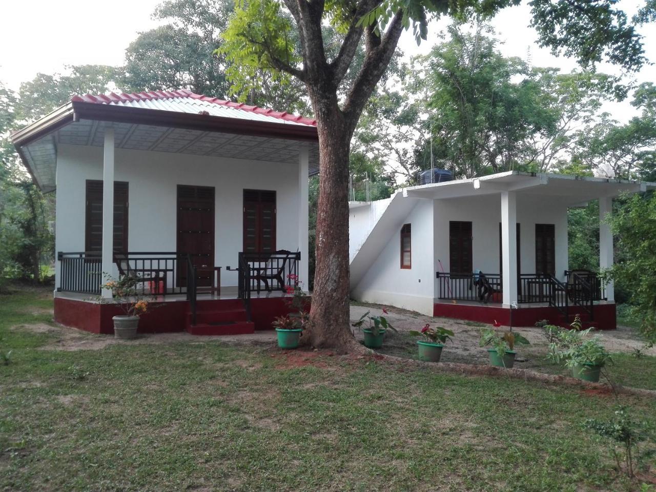 Calm Garden Cabanas Tangalle Buitenkant foto